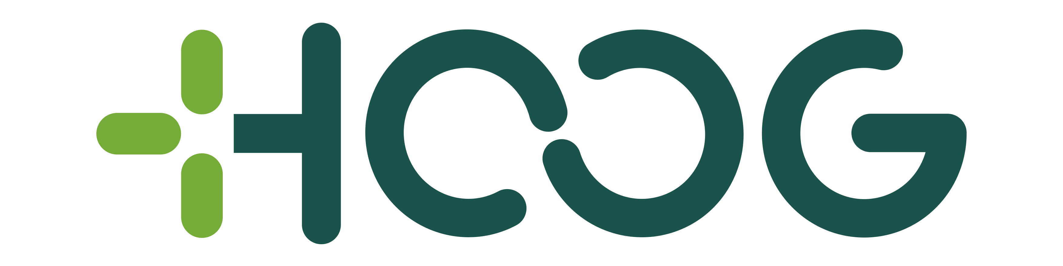 Hoog logo